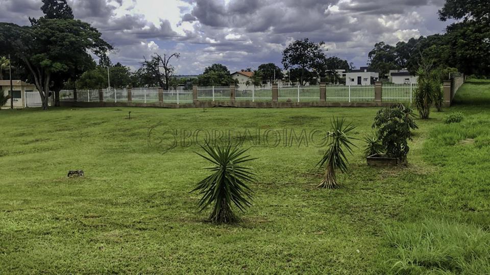 Image Property