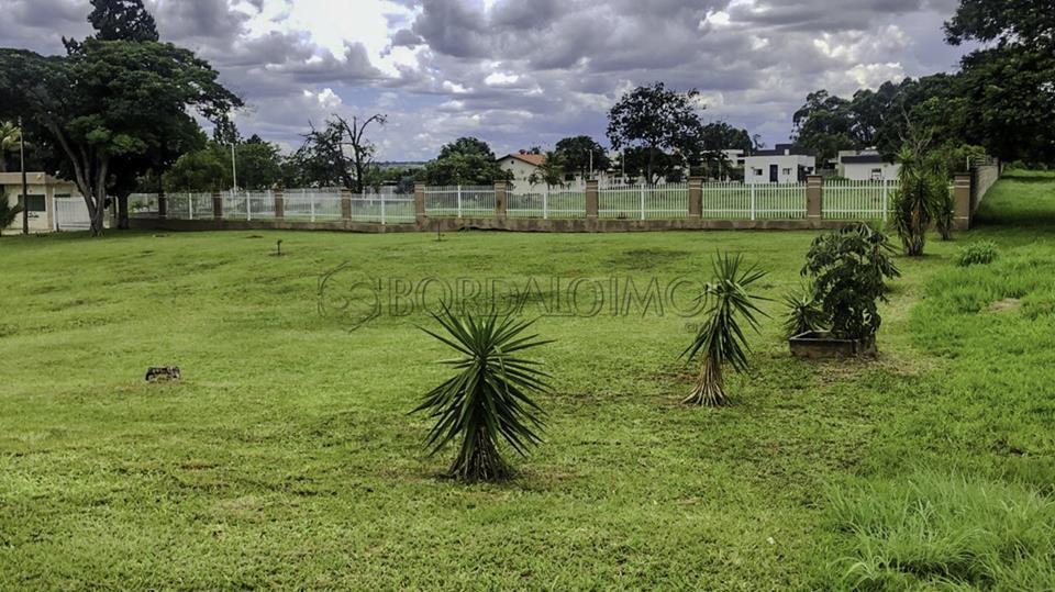 Image Property