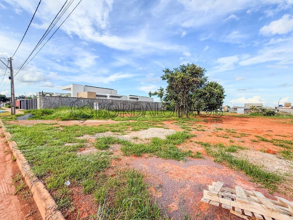 Image Property