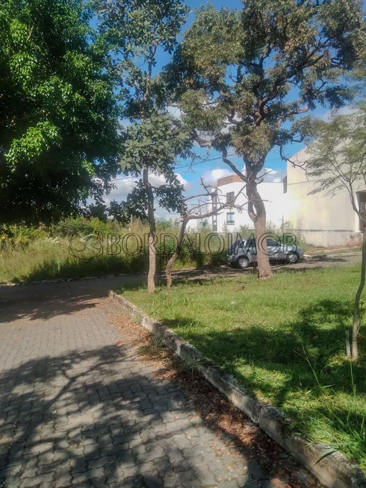 Image Property