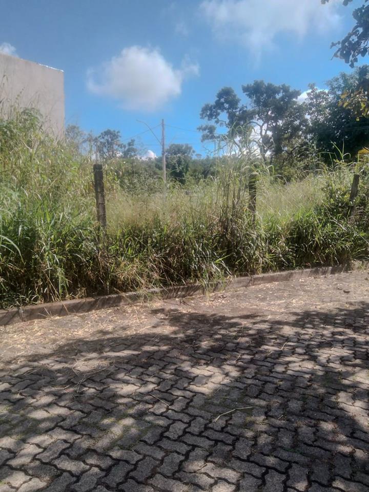 Image Property